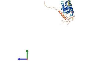 Protein Structure (PS) image for Cell Division Cycle 37-Like 1 (CDC37L1) (AA 1-337) protein (His tag) (ABIN7553298)