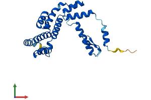 Protein Structure (PS) image for GID Complex Subunit 8 Homolog (GID8) (AA 1-228) protein (His tag) (ABIN7561089)