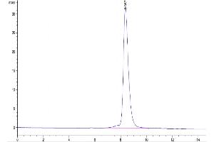 The purity of Biotinylated Human GUCY2C is greater than 95 % as determined by SEC-HPLC.