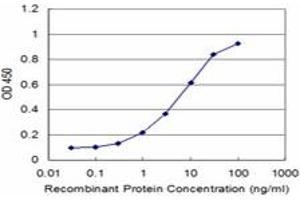 Detection limit for recombinant GST tagged CAP1 is approximately 0. (CAP1 抗体  (AA 1-475))