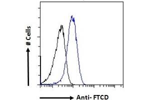 Flow Cytometry (FACS) image for anti-Formiminotransferase Cyclodeaminase (FTCD) (Internal Region) antibody (ABIN185268)