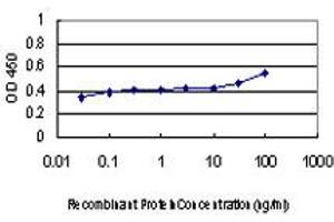 ELISA image for anti-Distal-Less Homeobox Protein 2 (DLX2) (AA 1-110) antibody (ABIN598648) (DLX2 抗体  (AA 1-110))