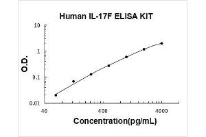 Interleukin 17F (IL17F) ELISA Kit