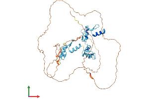 Protein Structure (PS) image for Growth Factor Independent 1 (GFI1) (AA 1-422) protein (His tag) (ABIN7553994)