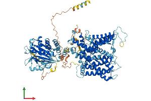 Protein Structure (PS) image for Solute Carrier Family 4, Anion Exchanger, Member 1 (erythrocyte Membrane Protein Band 3, Diego Blood Group) (SLC4A1) (AA 1-911) protein (His tag) (ABIN7552595)