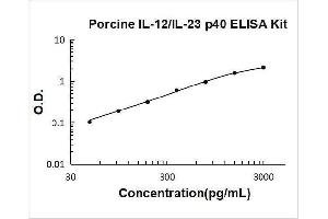 Typical Standard Curve