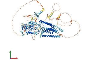 AlphaFold protein structure predicition of Human Recombinant RHBDF1 Protein, UniprotID Q96CC6