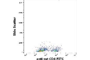 Flow cytometry surface staining pattern of rat thymocytes stained using anti-rat CD4 (OX-35) FITC antibody (concentration in sample 1 μg/mL). (CD4 抗体  (FITC))