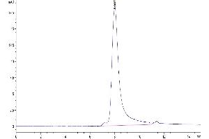 Size-exclusion chromatography-High Pressure Liquid Chromatography (SEC-HPLC) image for Interleukin 17A (IL17A) (AA 24-155) protein (His tag) (ABIN7274991)