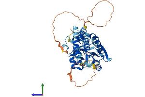 Protein Structure (PS) image for Dual Specificity Phosphatase 4 (DUSP4) (AA 1-394) protein (His tag) (ABIN7547180)