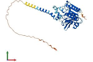 Protein Structure (PS) image for Abhydrolase Domain Containing 12 (ABHD12) (AA 1-398) protein (His tag) (ABIN7560384)