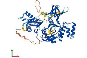 Protein Structure (PS) image for Sorting Nexin 17 (SNX17) (AA 1-470) protein (His tag) (ABIN7555540)