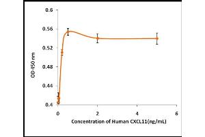 Activity Assay (AcA) image for Chemokine (C-X-C Motif) Ligand 11 (CXCL11) (Active) protein (ABIN5509360) (CXCL11 蛋白)