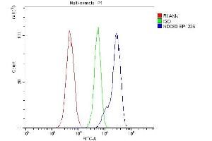 Flow Cytometry analysis of HL-60 cells using anti-NDC80 antibody (ABIN7602585).