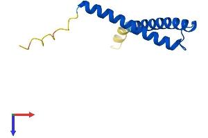 AlphaFold protein structure predicition of Mouse Recombinant Timm8a2 Protein, UniprotID Q4FZG7