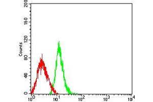 Flow cytometric analysis of HL-60 cells using PD1 mouse mAb (green) and negative control (red).