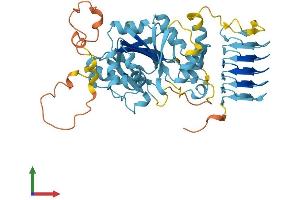 Protein Structure (PS) image for Eukaryotic Translation Initiation Factor 2B, Subunit 3 Gamma, 58kDa (EIF2B3) (AA 1-452) protein (His tag) (ABIN7547342)