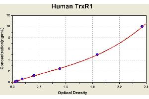 Diagramm of the ELISA kit to detect Human TrxR1with the optical density on the x-axis and the concentration on the y-axis. (TXNRD1 ELISA 试剂盒)