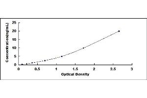 Typical standard curve (STAT6 ELISA 试剂盒)