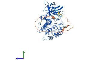 Protein Structure (PS) image for Vaccinia Related Kinase 1 (VRK1) (AA 1-396) protein (His tag) (ABIN7556015)