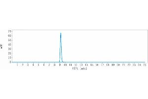 The purity of Anti-IL-10 Reference Antibody (BT-063) is 100 % , determined by SEC-HPLC.
