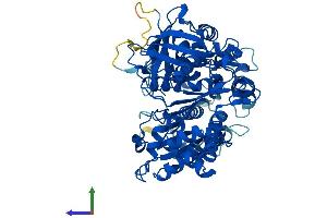 Protein Structure (PS) image for NADPH Dependent Diflavin Oxidoreductase 1 (NDOR1) (AA 1-597) protein (His tag) (ABIN7549651)
