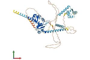 AlphaFold protein structure predicition of Human Recombinant LARP7 Protein, UniprotID Q4G0J3 (LARP7 Protein (AA 1-582) (His tag))