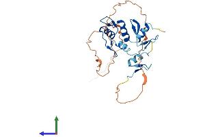 Protein Structure (PS) image for Snail Family Zinc Finger 2 (SNAI2) (AA 1-269) protein (His tag) (ABIN7563552)