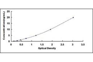 Typical standard curve (SLC1A5 ELISA 试剂盒)