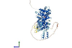 Protein Structure (PS) image for Striatin Interacting Protein 2 (STRIP2) (AA 1-834) protein (His tag) (ABIN7544039)