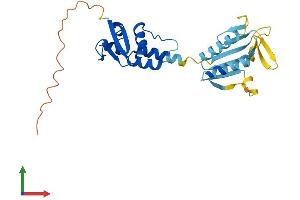 Protein Structure (PS) image for BTB (POZ) Domain-Containing Protein KCTD4 (KCTD4) (AA 1-259) protein (His tag) (ABIN7548855)