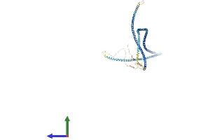 Protein Structure (PS) image for Outer Dense Fiber of Sperm Tails 2 (ODF2) (AA 1-829) protein (His tag) (ABIN7554807)