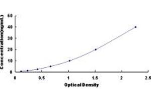 Typical standard curve (LPCAT4 ELISA 试剂盒)