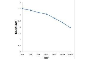 Antigen: 0. (CBL 抗体  (pTyr674))