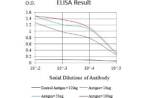 Black line: Control Antigen (100 ng),Purple line: Antigen (10 ng), Blue line: Antigen (50 ng), Red line:Antigen (100 ng) (SIRPG 抗体  (AA 29-360))