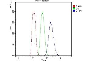 Flow Cytometry analysis of MFC cells using anti-VEGF Receptor 2 antibody (ABIN5693262). (VEGFR2/CD309 抗体  (AA 20-244))