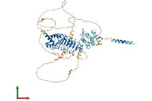 Protein Structure (PS) image for Leucine-Rich Repeats and Calponin Homology (CH) Domain Containing 4 (LRCH4) (AA 1-680) protein (His tag) (ABIN7560191)