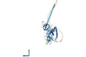 Protein Structure (PS) image for Adaptor Protein, phosphotyrosine Interaction, PH Domain and Leucine Zipper Containing 1 (APPL1) (AA 1-707) protein (His tag) (ABIN7564651)