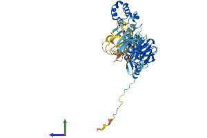 AlphaFold protein structure predicition of Human Recombinant KBTBD4 Protein, UniprotID Q9NVX7