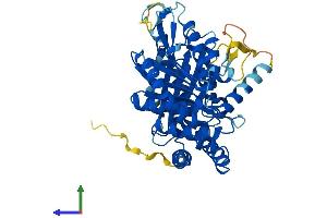 Protein Structure (PS) image for Tubulin, epsilon 1 (TUBE1) (AA 1-475) protein (His tag) (ABIN7561055)