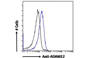 ABIN185301 Flow cytometric analysis of paraformaldehyde fixed HeLa cells (blue line), permeabilized with 0. (ADAM12 抗体  (N-Term))
