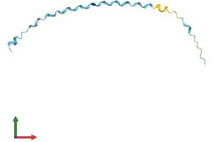 Protein Structure (PS) image for Small Proline-Rich Protein 2D (SPRR2D) (AA 1-72) protein (Fc Tag) (ABIN7546388)