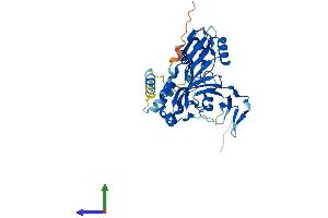 AlphaFold protein structure predicition of Mouse Recombinant Rpusd4 Protein, UniprotID Q9CWX4