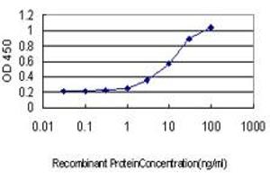 Detection limit for recombinant GST tagged GABBR1 is approximately 0. (GABBR1 抗体  (AA 52-151))
