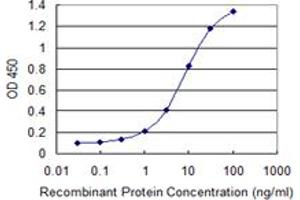 Detection limit for recombinant GST tagged PJA2 is 0. (PJA2 抗体  (AA 302-400))