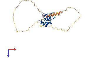 Hepatoma Derived Growth Factor-Like 1 (HDGFL1) (AA 1-251) protein (His tag)