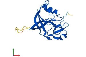 Protein Structure (PS) image for gamma-Glutamylamine Cyclotransferase (GGACT) (AA 1-153) protein (His tag) (ABIN7547944)