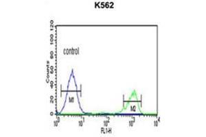 Flow Cytometry (FACS) image for anti-Alcohol Dehydrogenase 7 (Class IV), mu Or sigma Polypeptide (ADH7) (AA 325-354), (C-Term) antibody (ABIN950340)