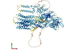 Protein Structure (PS) image for ATPase Type 13A1 (ATP13A1) (AA 1-1200) protein (His tag) (ABIN7565023)