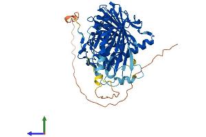 Protein Structure (PS) image for Oxysterol Binding Protein-Like 2 (OSBPL2) (AA 1-484) protein (His tag) (ABIN7558992)